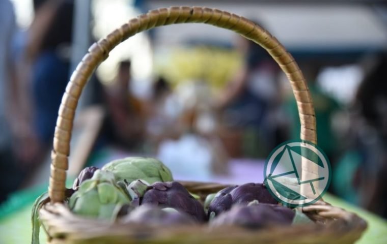 Finalizó la 12° edición de la Fiesta del Alcaucil Platense 01
