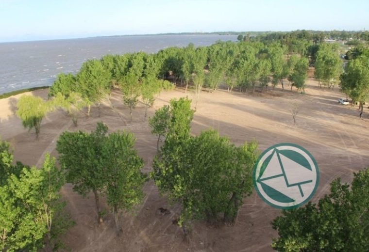 Punta Lara, la costa más linda del Río de La Plata Punta Lara, la costa más linda del Río de La Plata 2