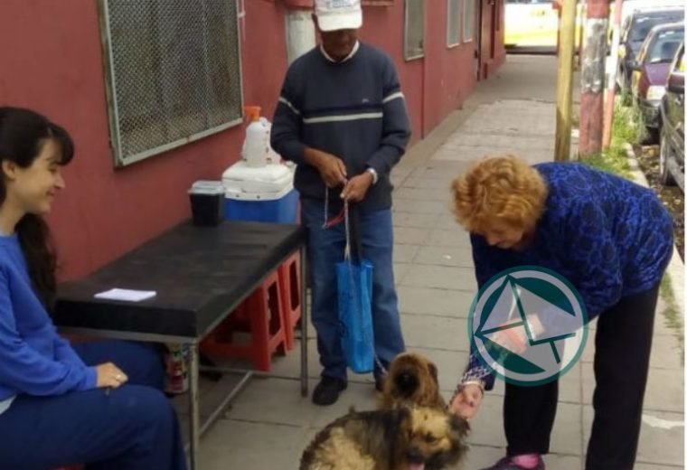 vacunación antirrábica en barrios de La Franja 06