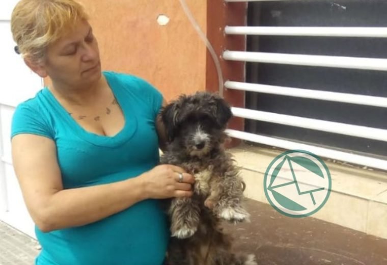 vacunación antirrábica en barrios de La Franja 3