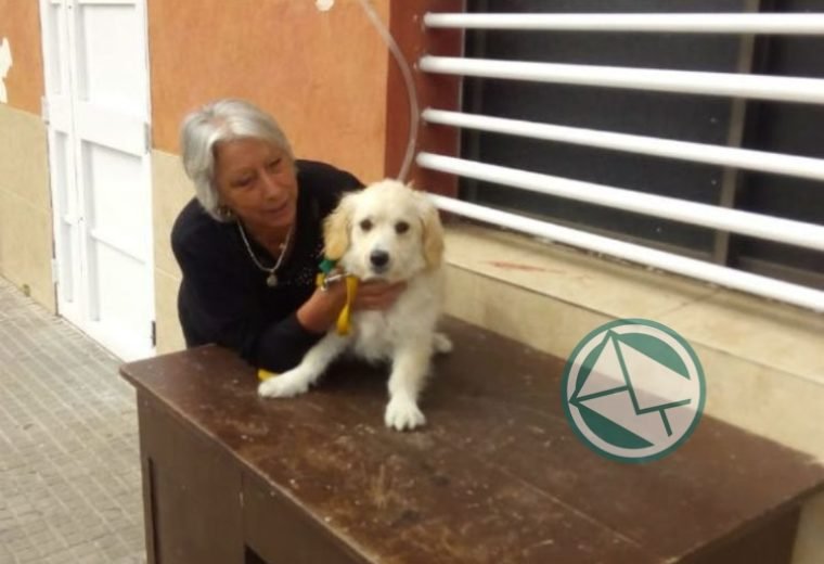 vacunación antirrábica en barrios de La Franja 4