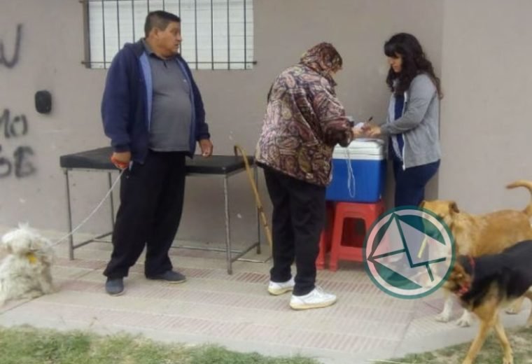 vacunación antirrábica en barrios de La Franja 5