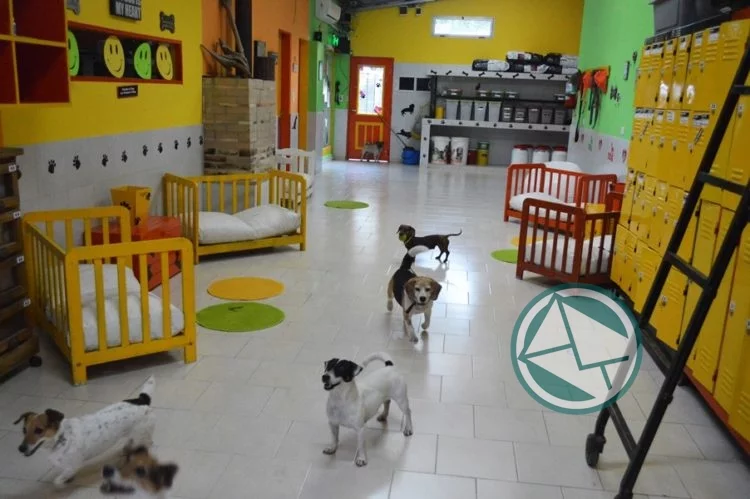 Por primera vez en el mundo, Booking.com permite reservar en su plataforma un hotel para perros