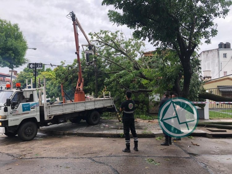 En La Plata se mantiene el monitoreo y lleva adelante operativos de atención y respuesta En La Plata se mantiene el monitoreo y lleva adelante operativos de atención y respuesta