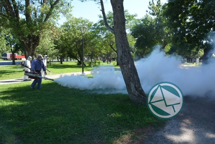 Fumigación contra mosquitos en espacios públicos de Berisso Fumigación contra mosquitos en espacios públicos de Berisso