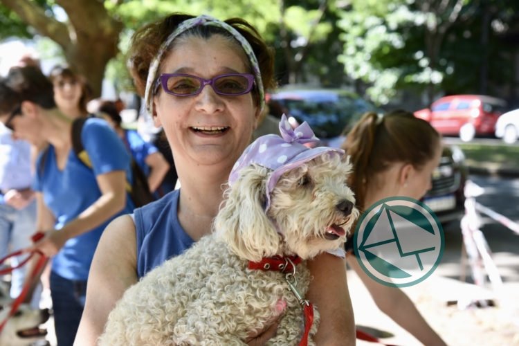 Se vacunaron, desparasitaron y asistieron a más de 300 mascotas en una jornada en La Plata