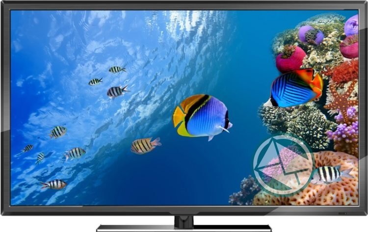 El Municipio de Berisso sorteará tres televisores entre los contribuyentes al día