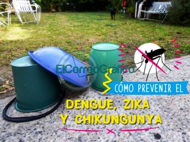 Campaña de Prevención, Concientización y Descacharrización en La Plata contra los mosquitos