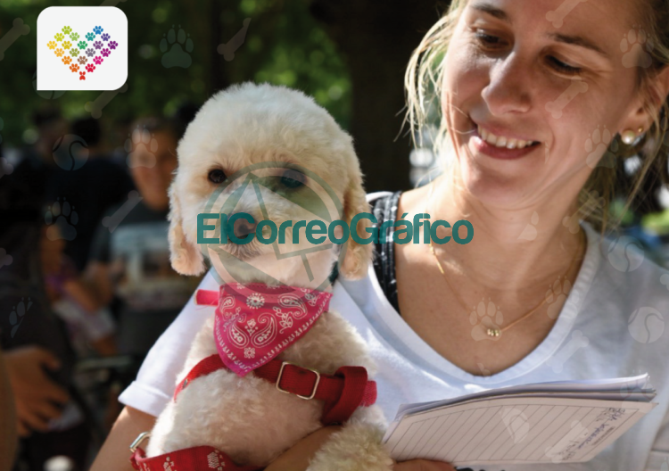 Continúa la campaña de asistencia veterinaria en La Plata