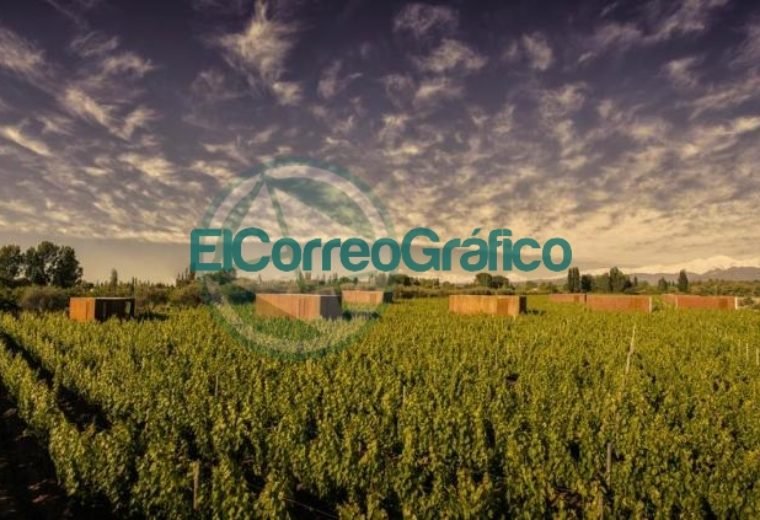 Entre Cielos Mendoza Bookingcom1