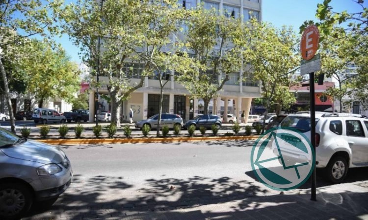 Estacionamiento medido con horario reducido en La Plata durante enero