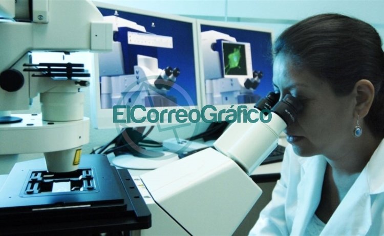 La inmuno-terapia continúa revolucionando el tratamiento contra el cáncer La inmuno-terapia continúa revolucionando el tratamiento contra el cáncer