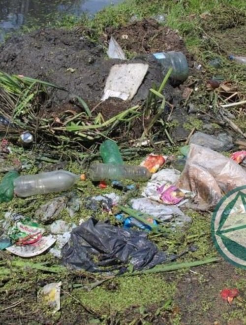 Limpieza de arroyos y zanjones en el barrio El Molino de Ensenada 2