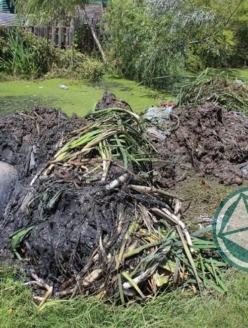 Limpieza de arroyos y zanjones en el barrio El Molino de Ensenada 3