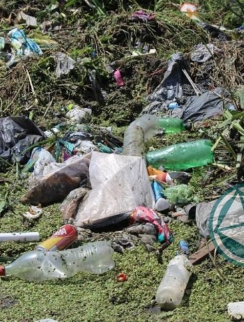 Limpieza de arroyos y zanjones en el barrio El Molino de Ensenada 4