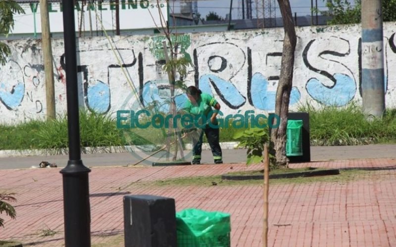 MANTENIMIENTO EN LA PLAZA MASANTONIO 1