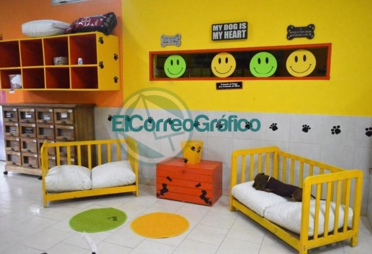 PetVille Bookingcom 2