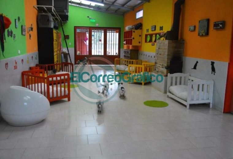 PetVille Bookingcom 3