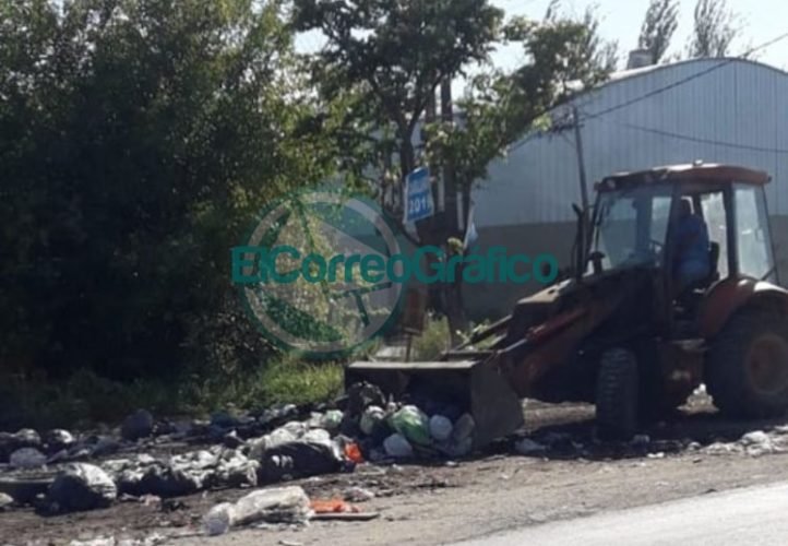 Se intensifican tareas de limpieza y desmalezamiento en la vía pública La Franja Berisso 03