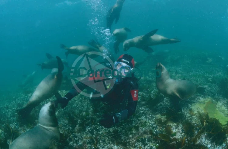 Los 7 mejores destinos en vacaciones para hacer buceo en Latinoamérica