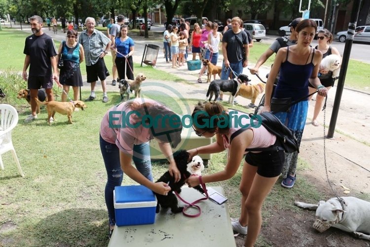 Jornada de vacunación y desparasitación para mascotas en Altos de San Lorenzo