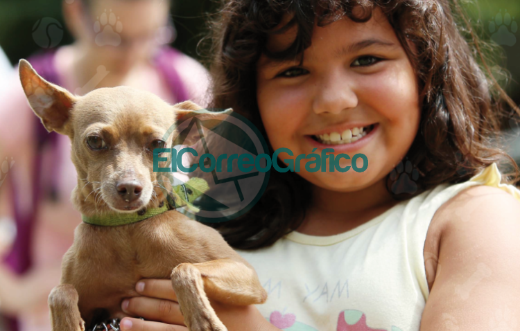 El consultorio veterinario móvil del municipio llega a Hernández
