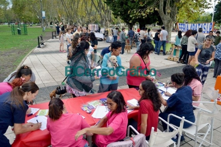 Arrancó la inscripción de protectoras para ser parte del circuito de ferias
