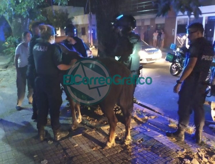Cuatro personas ebrias detenidas que circulaban con un caballo con signo de maltrato