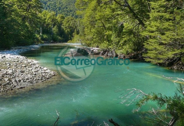 Parque Nacional Los Alerces Esquel Chubut1