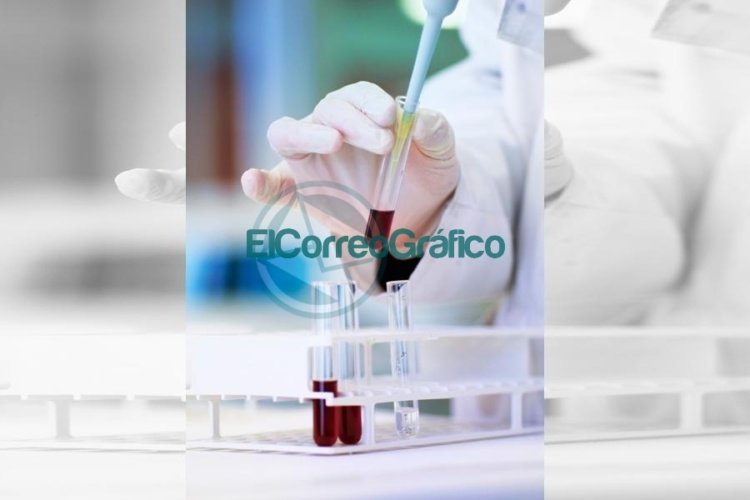 IOMA: los afiliados con patologías crónicas podrán realizar de manera gratuita sus análisis de laboratorio IOMA: los afiliados con patologías crónicas podrán realizar de manera gratuita sus análisis de laboratorio