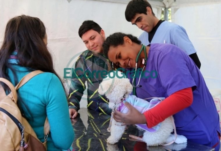 Con gran éxito, se desarrolló una jornada especial por el Día del Animal en la Casa Ecológica 4