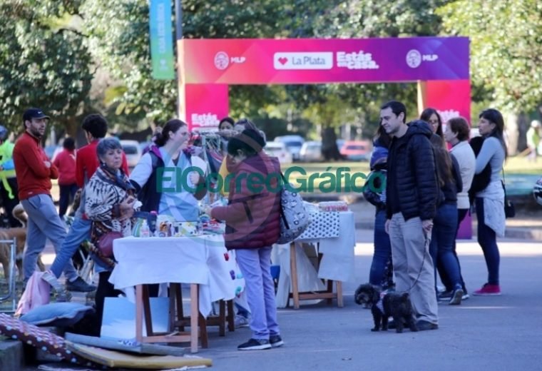 Con gran éxito, se desarrolló una jornada especial por el Día del Animal en la Casa Ecológica 5