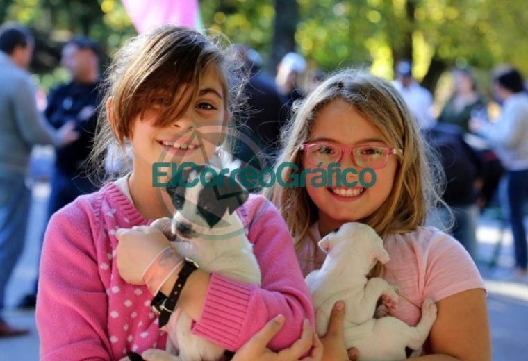 Con gran éxito, se desarrolló una jornada especial por el Día del Animal en la Casa Ecológica 7
