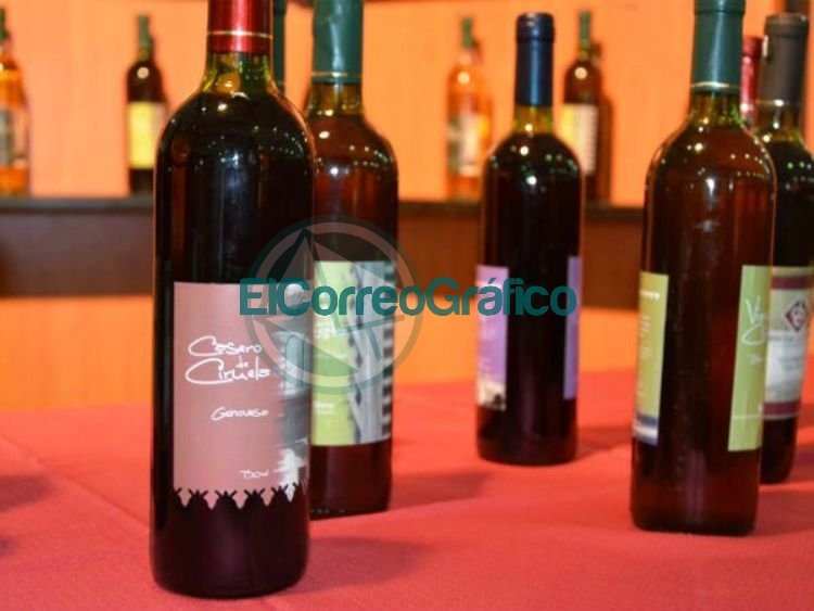 Fiesta del Vino de la Costa. Diputados Bonaerenses aprueba la Fiesta Provincial del Vino en Berisso