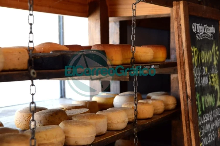 Los quesos de Suipacha, una experiencia única de sabores
