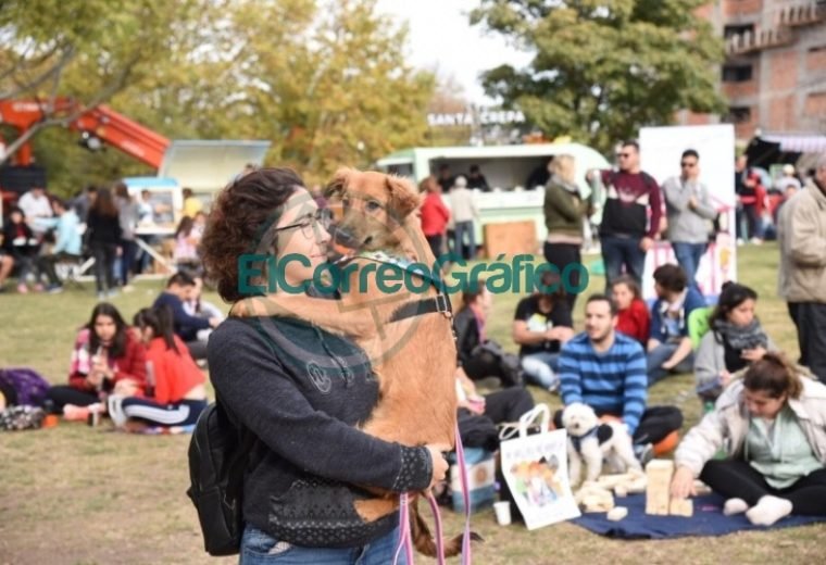 Más de 25 mil personas disfrutaron de la primera edición de “FLAP! Festivales La Plata” 06