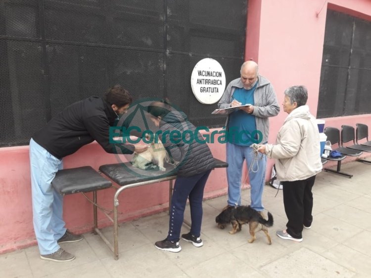 Vacunación antirrábica y entrega de turnos para castración en Delegación II Vacunación antirrábica y entrega de turnos para castración en Delegación II