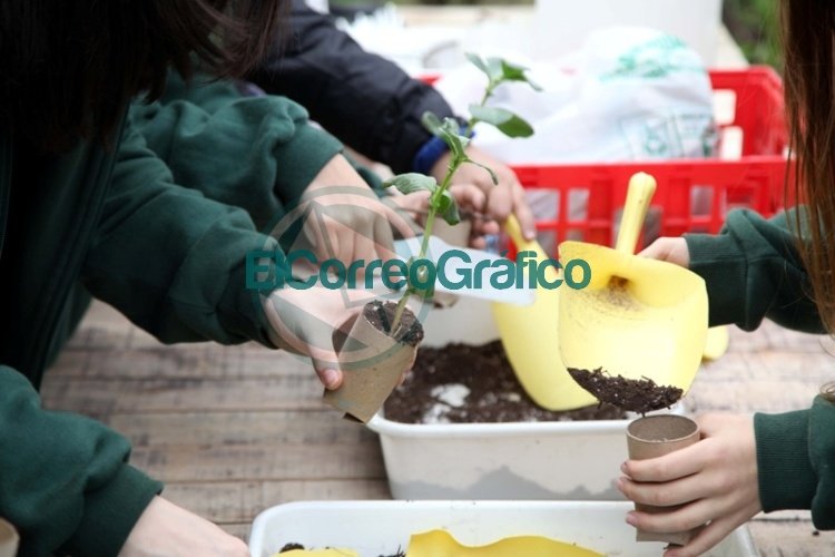 Día Mundial del Medio Ambiente: Diversas actividades de concientización en La Plata