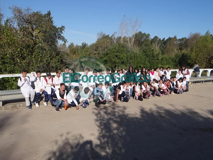 Proyecto educativo sobre Ambientes naturales de Berisso: Humedales