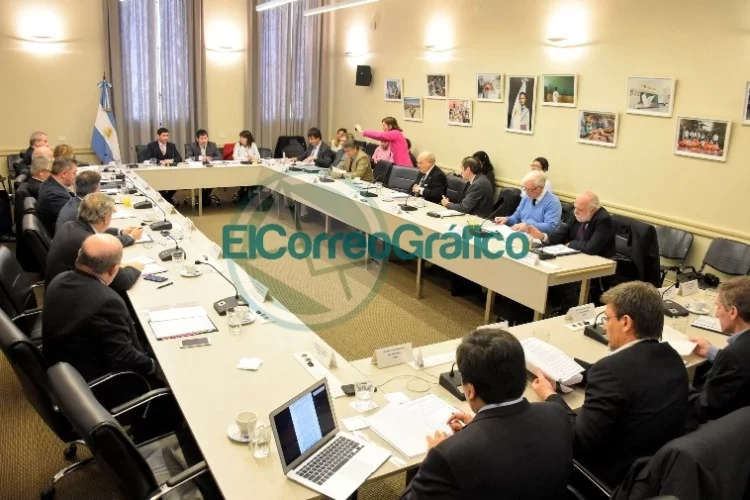 Seis nuevas carreras de grado aprobó el Consejo de Universidades Seis nuevas carreras de grado aprobó el Consejo de Universidades