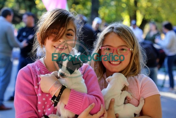 Jornada de vacunación veterinaria gratuita en la localidad de Tolosa