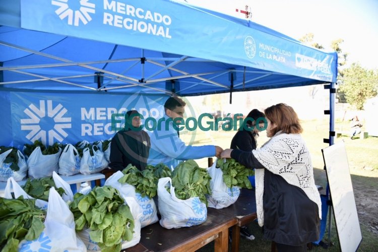 “El Mercadito Municipal” estará de martes a viernes en 1 y 38