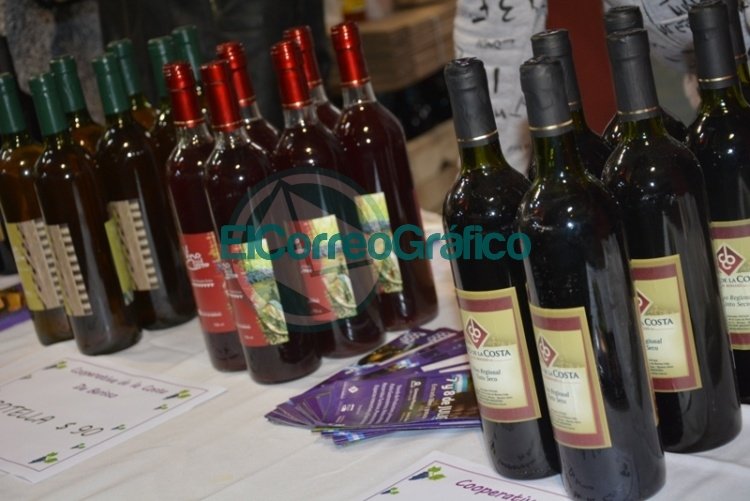 Martín Casali: "una vez más la Fiesta del Vino se realizará en su lugar histórico" Martín Casali: "una vez más la Fiesta del Vino se realizará en su lugar histórico"