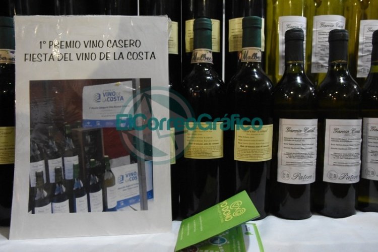 Martín Casali: "una vez más la Fiesta del Vino se realizará en su lugar histórico" Martín Casali: "una vez más la Fiesta del Vino se realizará en su lugar histórico"