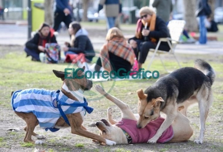Más de 40 mil personas participaron de FLAP! en Plaza Malvinas 02