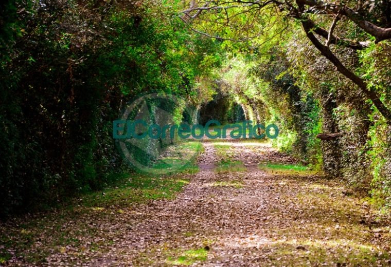 Promueven acampar en Reservas Naturales cuidando el ambiente