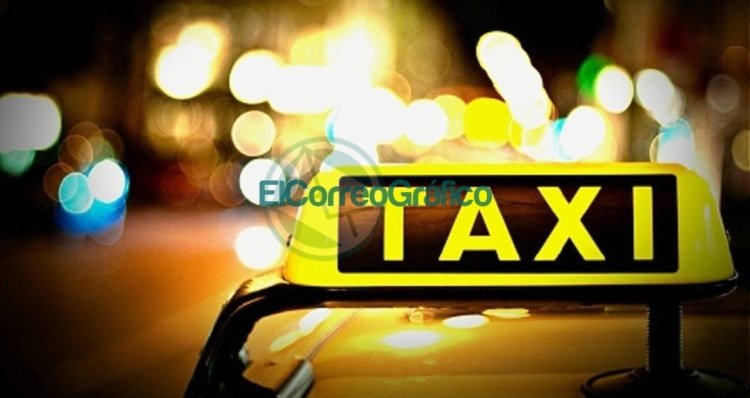 Los manuales para tramitar licencias de conducir para taxis y remisses en Berisso se consiguen desde la web