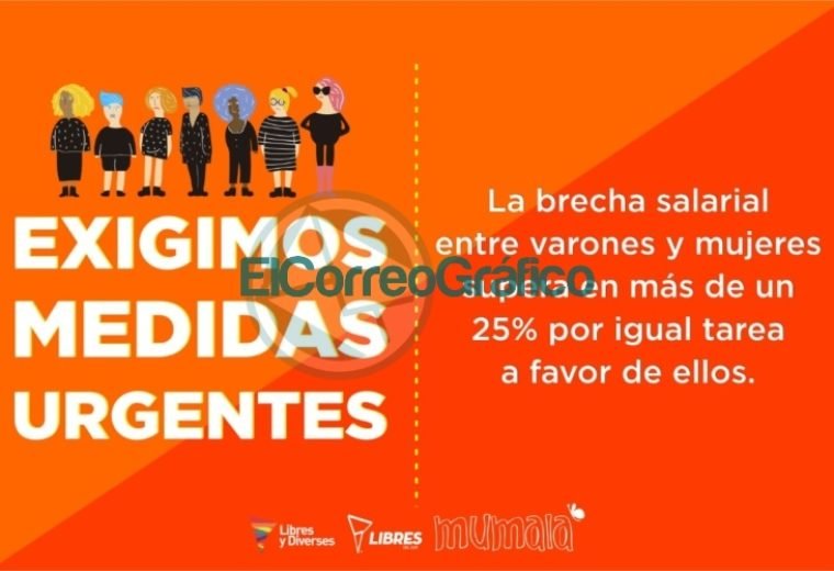 Placas 2