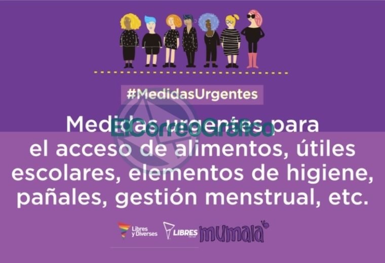 Placas 5