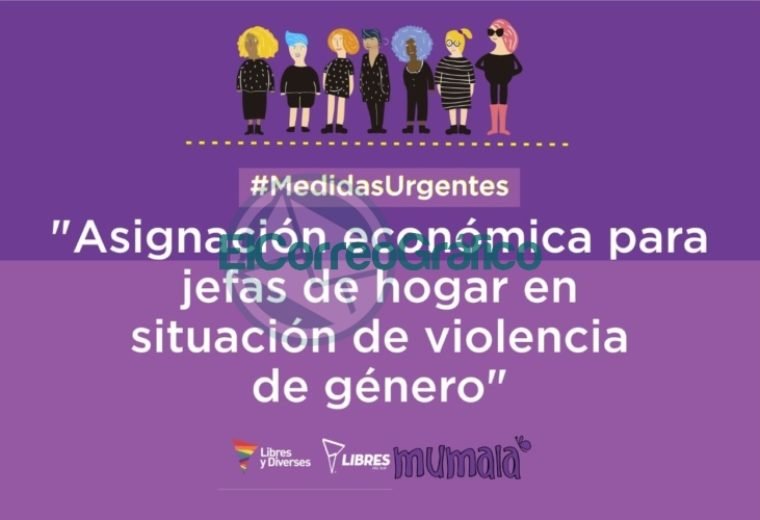 Placas 7